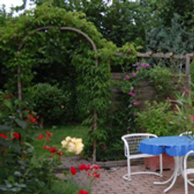Kleiner Garten